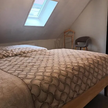 Le 289 *